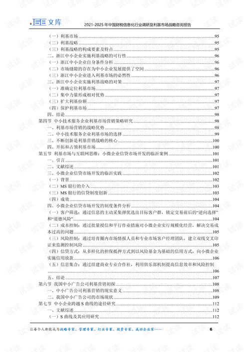 2021-2025年中國財稅信息化行業調研及利基市場戰略咨詢報告